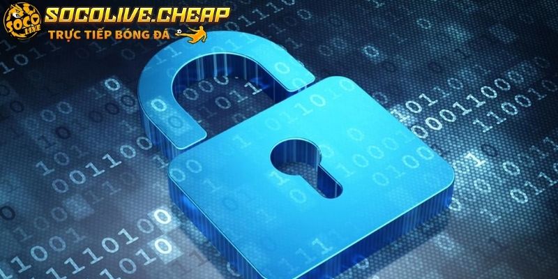 Mọi dữ liệu được mã hóa bằng các thuật toán tiên tiến